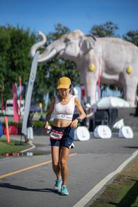 BIB: 
                            <button type="button" onclick="openModal(26542033)" class="btn btn-primary btn-sm float-right btn-popup" data-toggle="modal" data-target=".modal-high-quality">
                        <i class="fas fa-shopping-cart"></i> Add to Cart
                    </button>
                                            <button type="button" onclick="isThisMe(26542033, true)" class="btn btn-success btn-sm float-right btn-popup btn-isme hidden" data-toggle="tooltip" data-placement="bottom" title="นี่คือรูปของคุณใช่ไหม คลิกที่นี่เพื่อเอาเข้าอัลบั้ม">
                        <i class="fas fa-plus"></i> Add to album
                    </button>
                    <button type="button" onclick="isThisMe(26542033, false)" class="btn btn-warning btn-sm float-right btn-popup btn-isnotme hidden">
                        <i class="fas fa-ban"></i> Remove from album
                    </button>